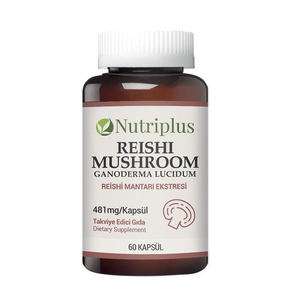 Houba Reishi